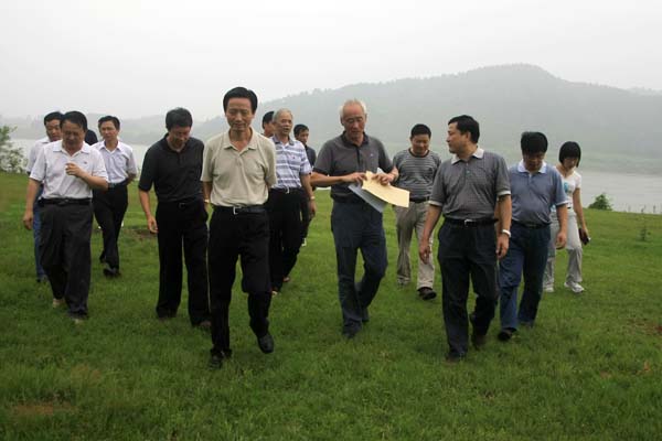 20099299311264